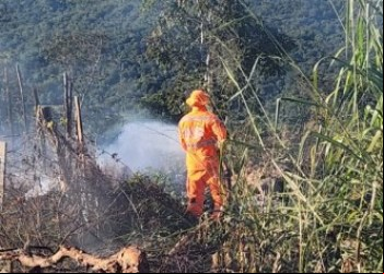 BOMBEIROS CONTROLAM INCÊNDIO EM VEGETAÇÃO, EM FORMIGA
